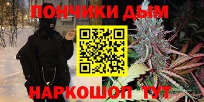 дмт Бийск