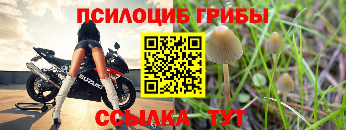 Верхняя Салда  Псилоцибиновые грибы ЛСД  Вход с VPN  Галлюциногенные грибы Psilocybe 