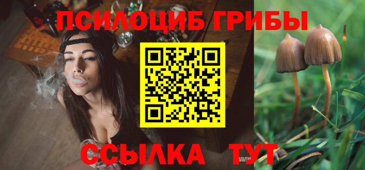 Галлюциногенные грибы GOLDEN TEACHER Верхняя Салда